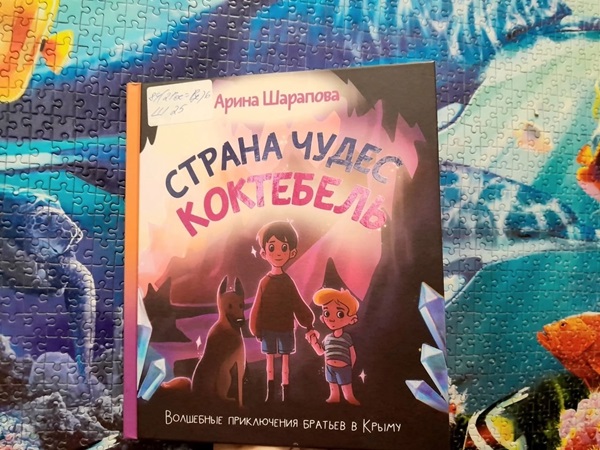 Рубрика «Книжный шкаф»