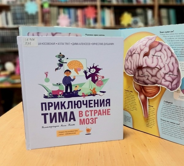 А вы знали?