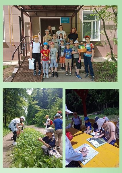 Лесная экскурсия в мир народных традиций