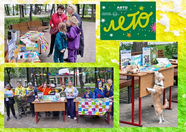 Библиотека без границ